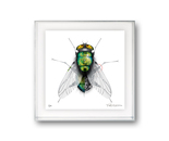 FLY mechismo