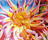 "Dali's Dahlia"