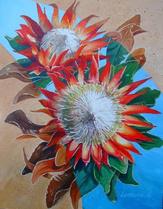 Red Proteas