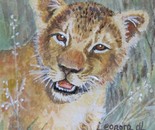 Inquisitive Lion Cub