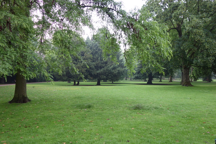 town garden cologne