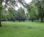 town garden cologne