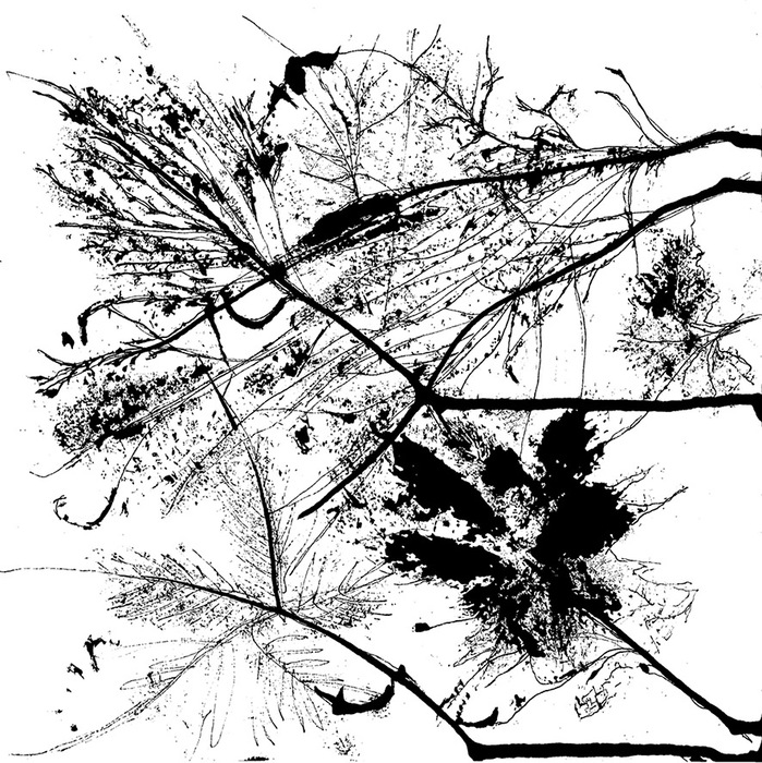 Autumn Journeys Series 2