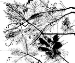 Autumn Journeys Series 2