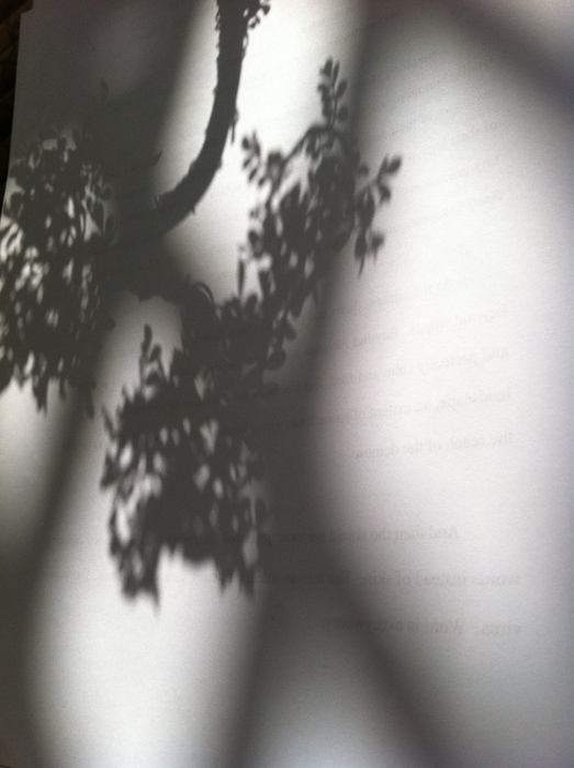 An arrangement of shadows and light 