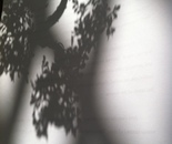 An arrangement of shadows and light 