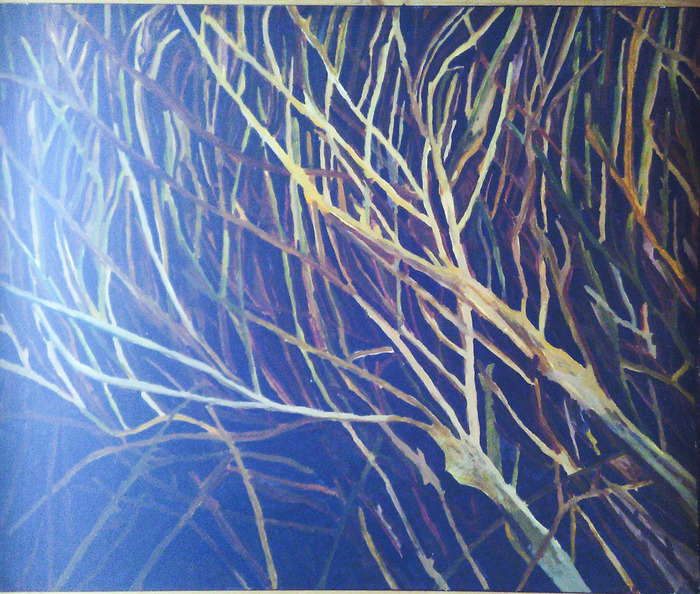 Branches at night