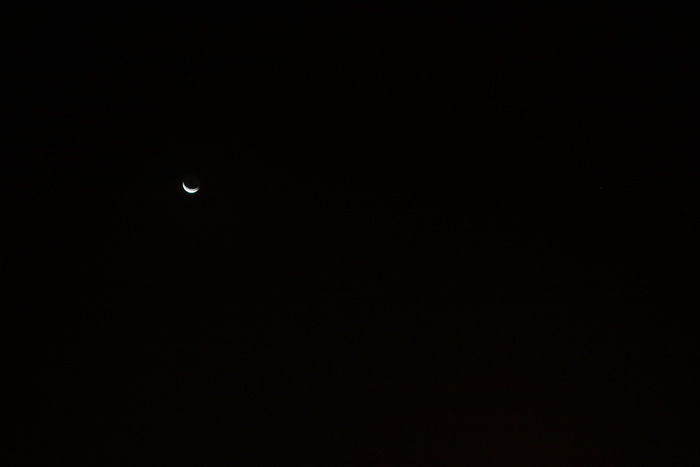 halfmoon