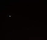 halfmoon