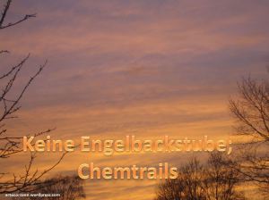 chemtails not angels bakery