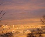 chemtails not angels bakery