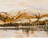 Lingholm North The Skiddaw Group