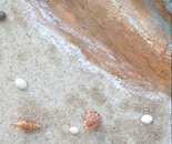 A Recreation of a Beach in Waveland