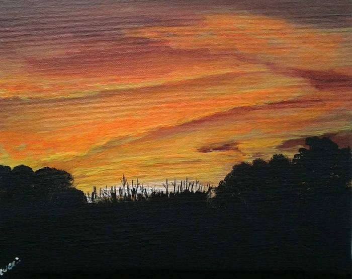 Cornfield