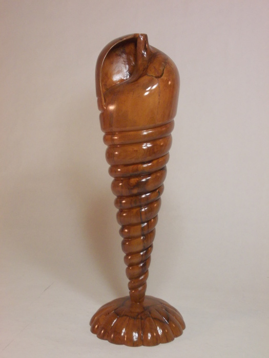 Auger Shell 19" h.  Dogwood $4200