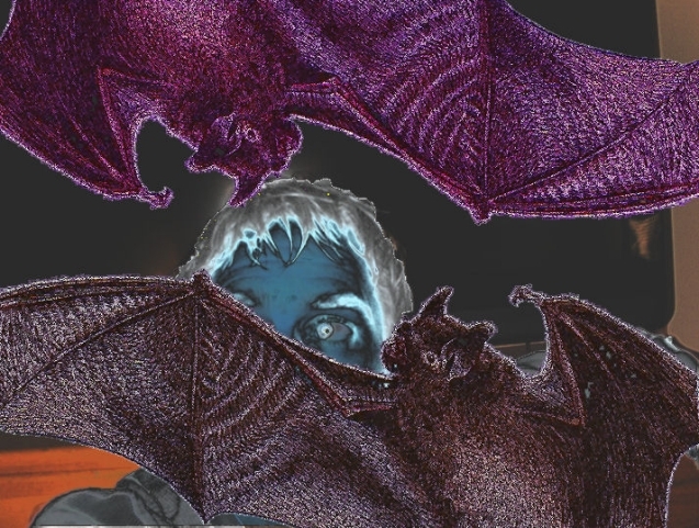 Bat attack