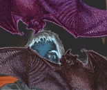 Bat attack