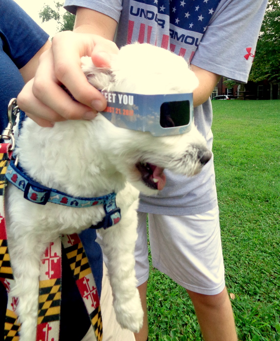 Watching the "Great American Eclipse" on Monday, August 21, 2017; 311 Kent Square Rd, Gaithersburg, MD