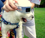 Watching the "Great American Eclipse" on Monday, August 21, 2017; 311 Kent Square Rd, Gaithersburg, MD