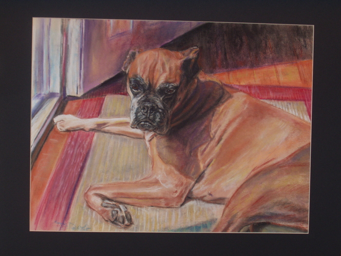 Boxer 