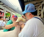 At the Montgomery County MD Agricultural Fair August 11-19, 2017; 16 Chestnut St, Gaithersburg, MD 20877