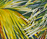 A Symphiny in the Palms #2