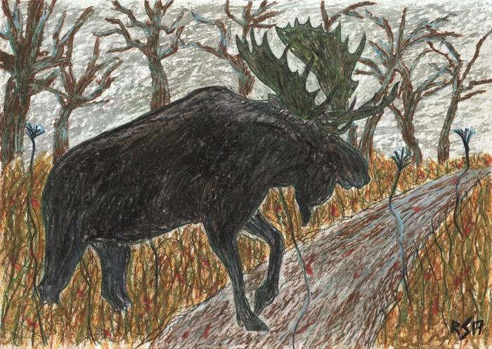 Moose 1