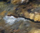 Water Emotions #10