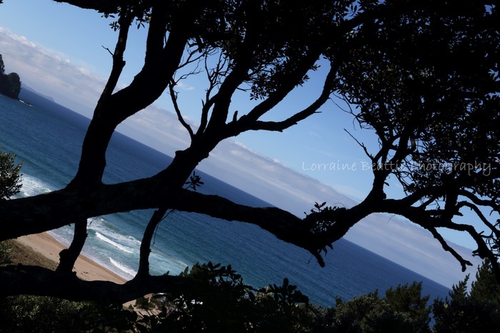 Branched