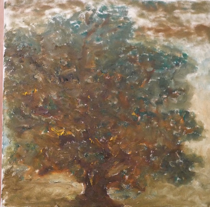 Backyard Tree