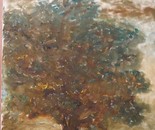 Backyard Tree