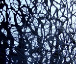 The Tangle