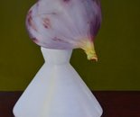 A Balanced Diet - fig