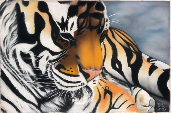 Sleeping Tiger