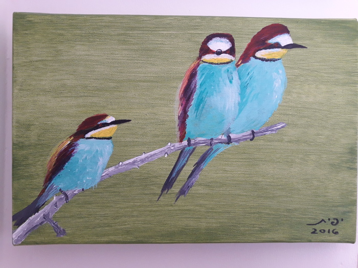 Birds