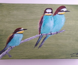 Birds