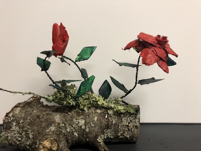 Seashell roses