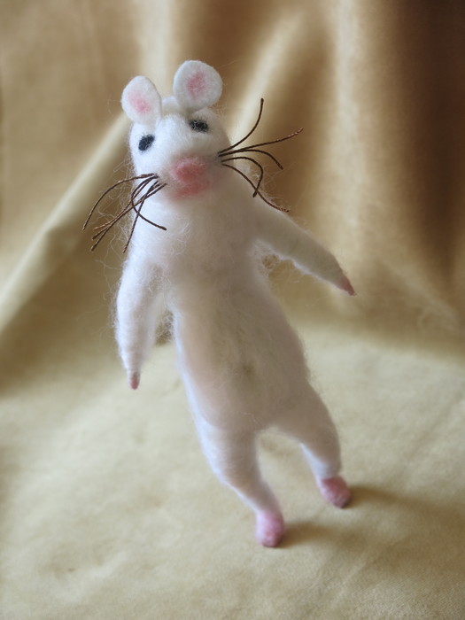 mouse