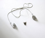 Auscultationem Musca (assemblage)