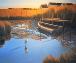 Low tide
