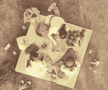 Picnic