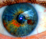 eye