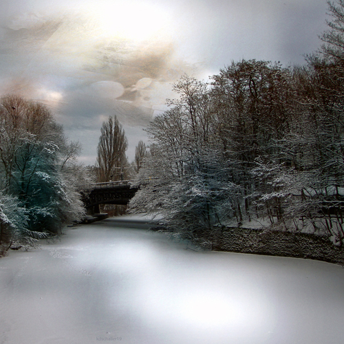 black winter