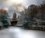black winter