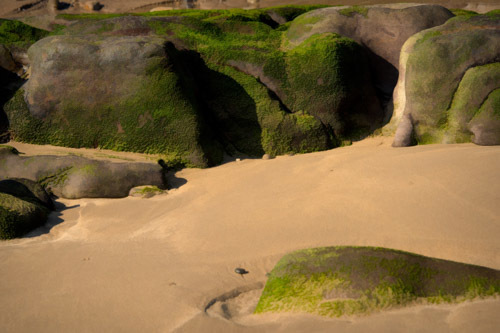 Gifts from the Earth, Wrought by the Sea