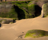 Gifts from the Earth, Wrought by the Sea