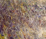 MATERIKA DISSOLUTION