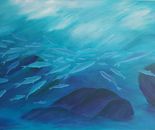 Ocean