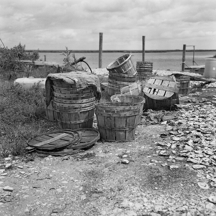 Oyster Buckets, Irish Bayou