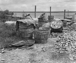 Oyster Buckets, Irish Bayou
